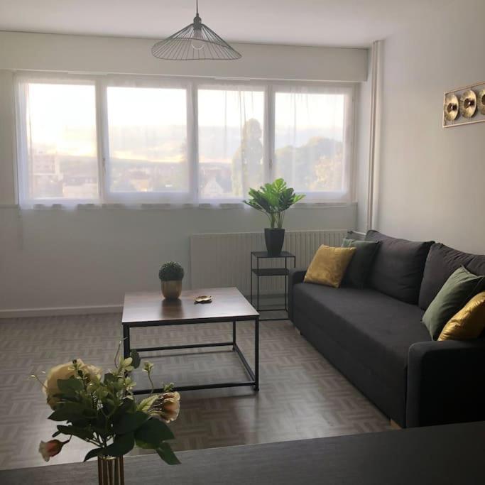 Le Petit Lorry - Appt 20 45 M2 Metz